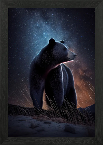 Black bear under - bear, stars