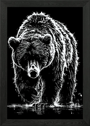 Bear illustration black - black, and